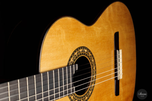 Lorenzo Frignani – 2023 Spruce No. 253 img-2