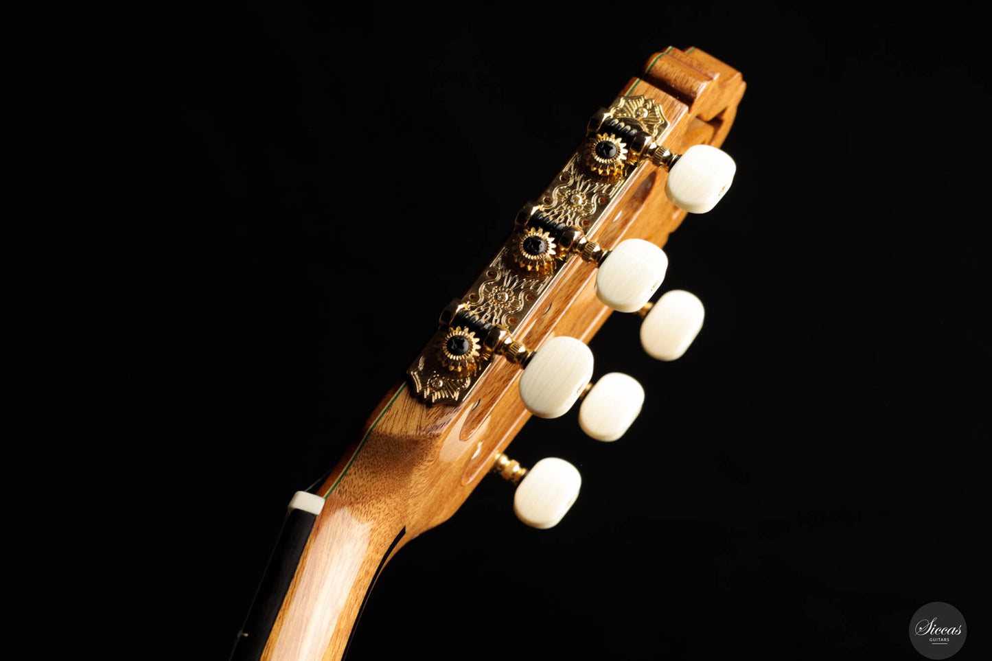 Esteve - Model 12 Cedar