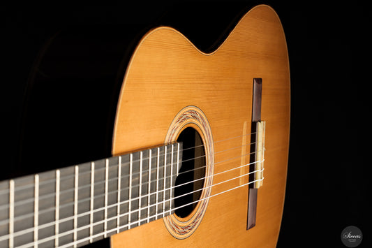 Marcos Domato - 2025 Concierto img-2