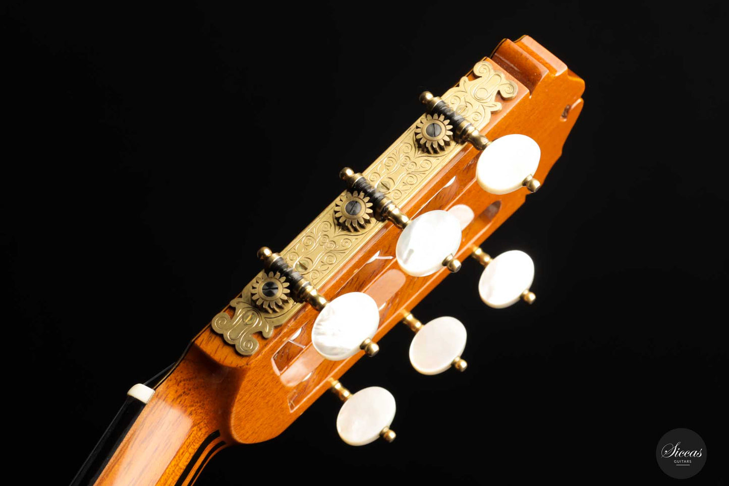 Masaru Kohno - 1979 Model 50