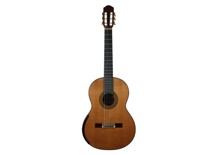 Michael Batell - 2014 cedar