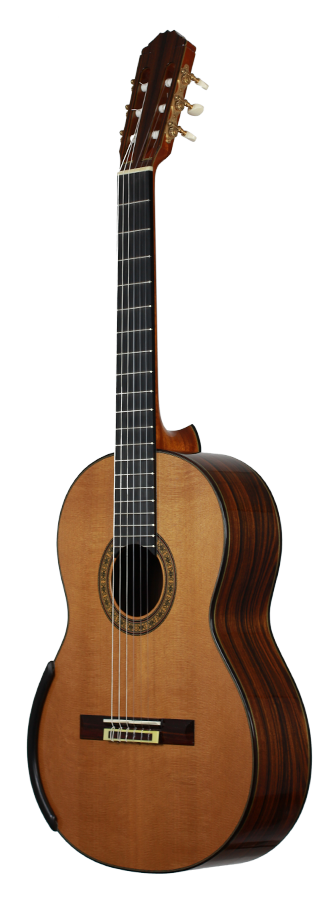 Michael Batell - 2014 cedar