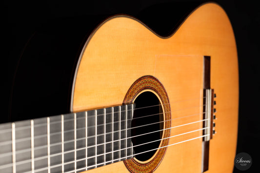 Michael Wichmann - 2016 Flamenca negra img-2