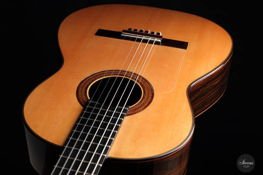 Michael Wichmann - 2016 Flamenca negra