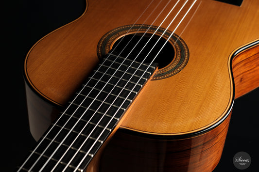 Michel Brück - 2017 No. 207 Doubletop img-2