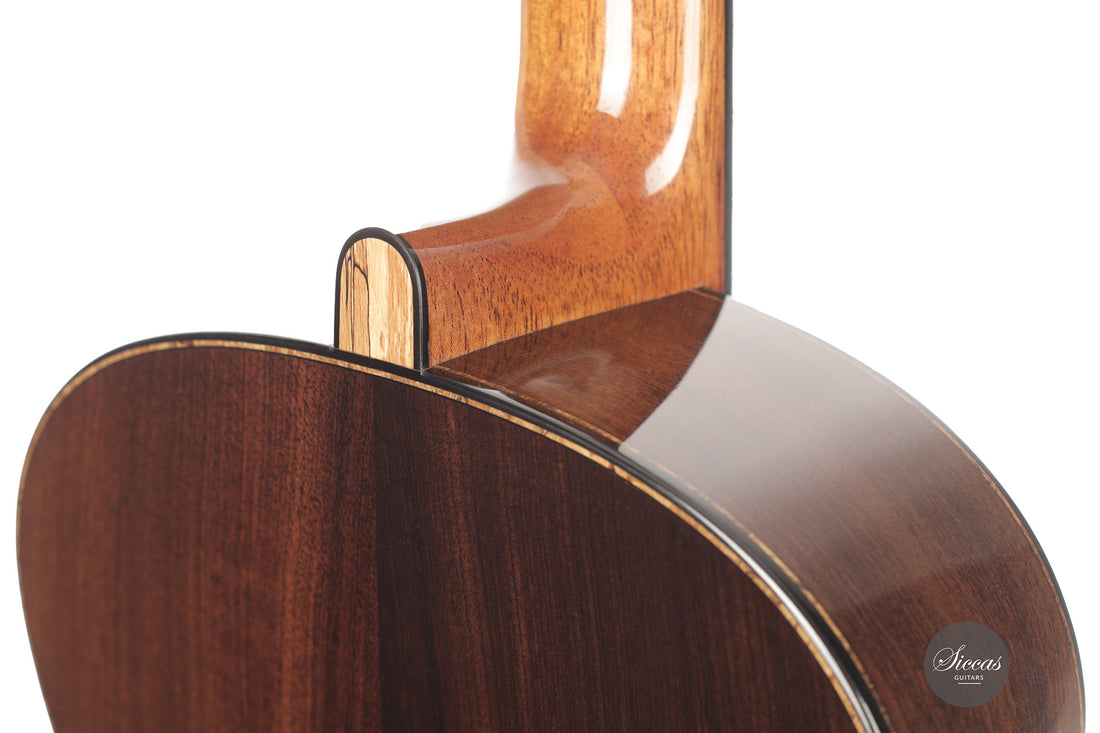 Michele Della Giustina - 2025 No. 438 - Back and sides