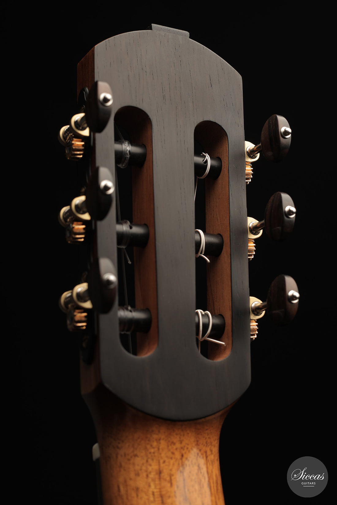 Michele Della Giustina - 2025 No. 438 - Neck and tuner