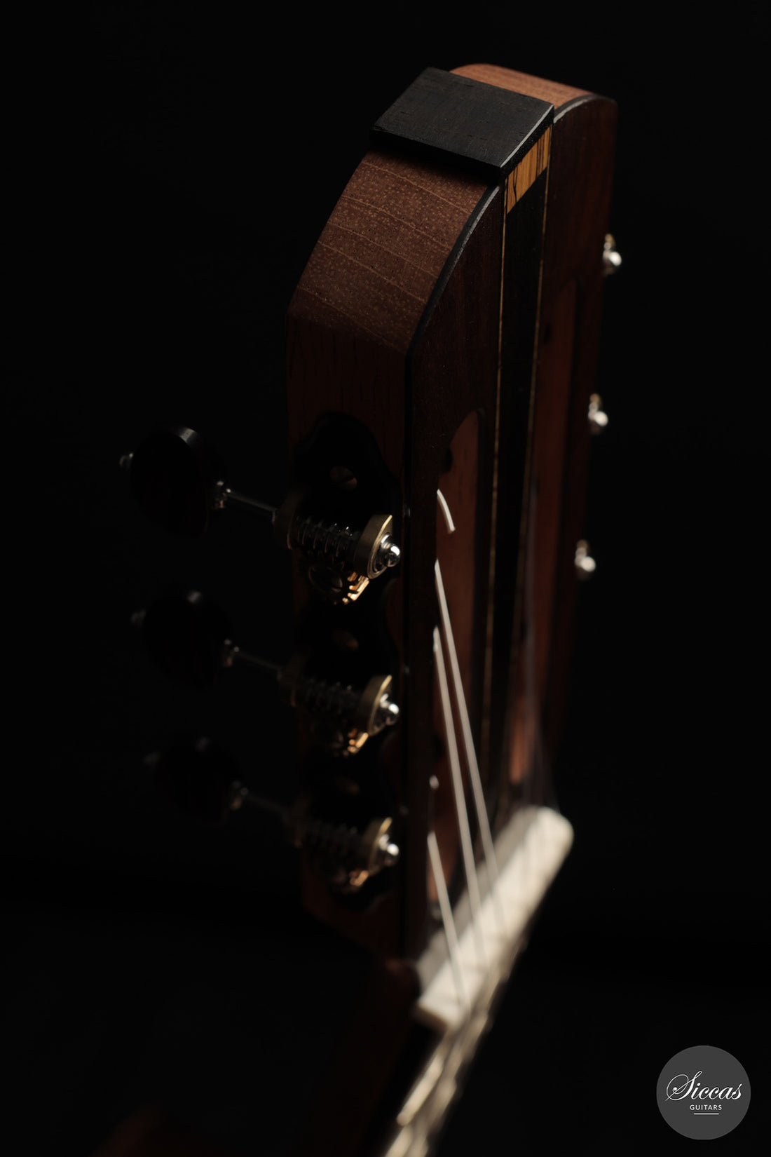 Michele Della Giustina - 2025 No. 438 - Neck and tuner