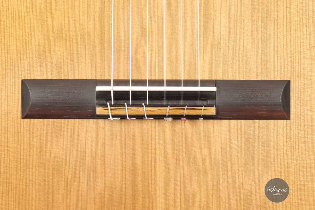 Michele Della Giustina - 2025 No. 438 - Front view