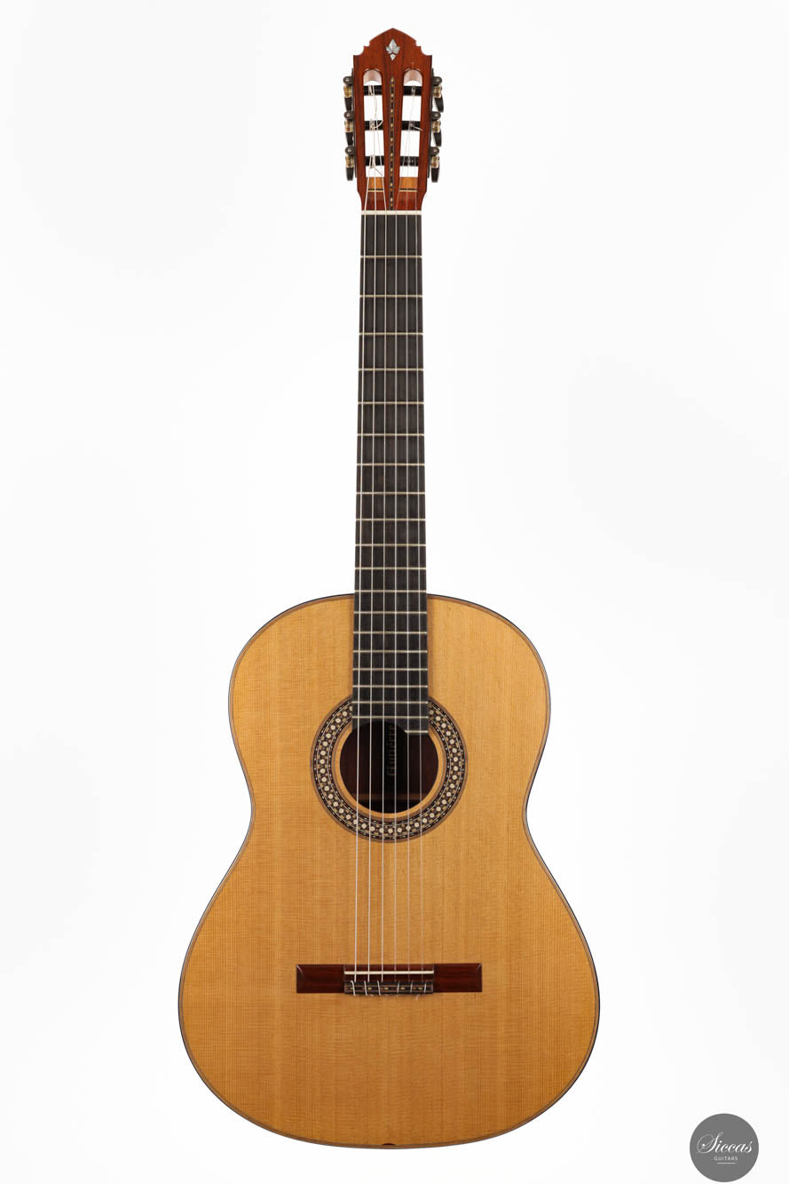 Miguel Angel Gutierrez Garcia-Calvo - 2024 SE 10 REG 2024 Limited Edition