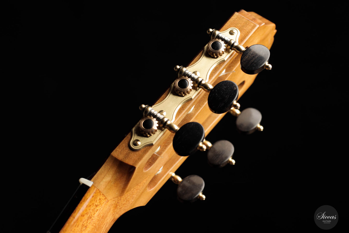 Mirko Migliorini – 2023 No. 379