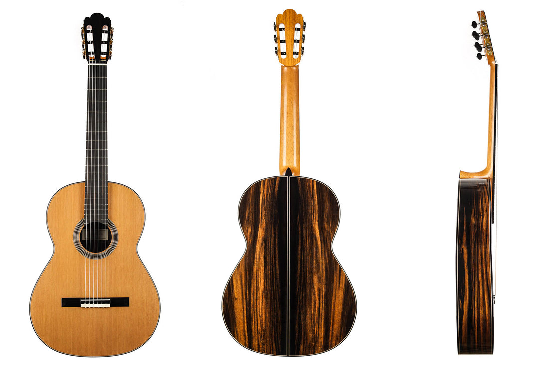 Nils Schebesta - 2020 Cedar