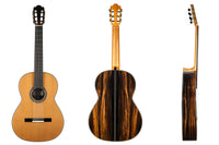 Nils Schebesta - 2020 Cedar