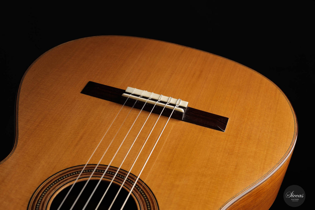 Nils Schebesta – 2022 Cedar No. 28
