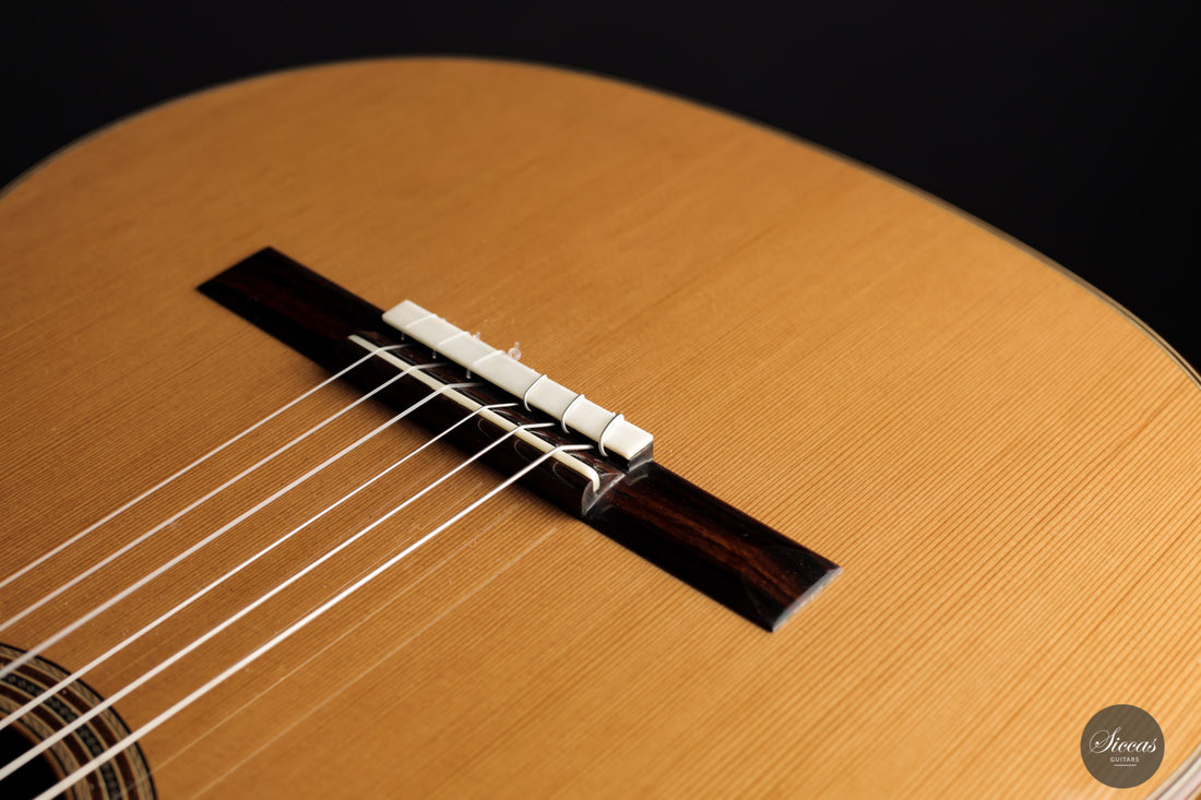 Nils Schebesta - 2021 Cedar/Rosewood