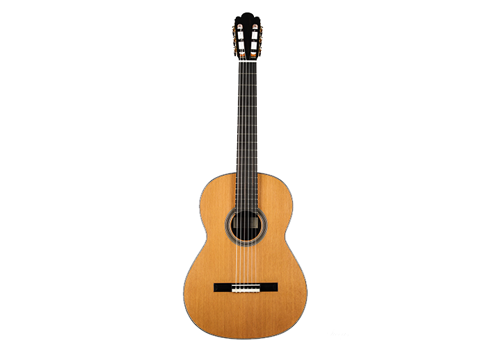 Nils Schebesta - 2020 Cedar