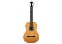 Nils Schebesta - 2020 Cedar