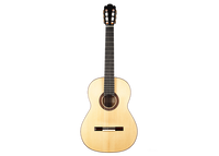 Nils Schebesta - 2020 Spruce