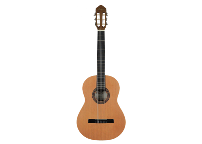 Ortega - R-180
