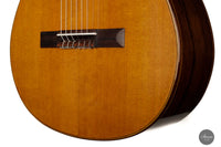 Otto Rauch - 2022 Doubletop No. 280 "Domenico Montagnana - The sleeping beauty"