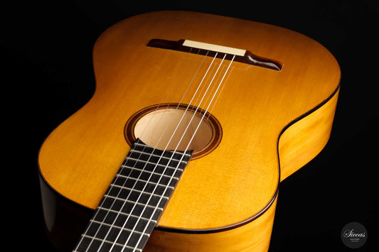 Paolo Coriani - 2010 "La Leona" No. 180