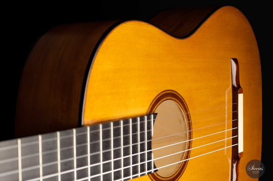 Paolo Coriani - 2010 "La Leona" No. 180 img-2