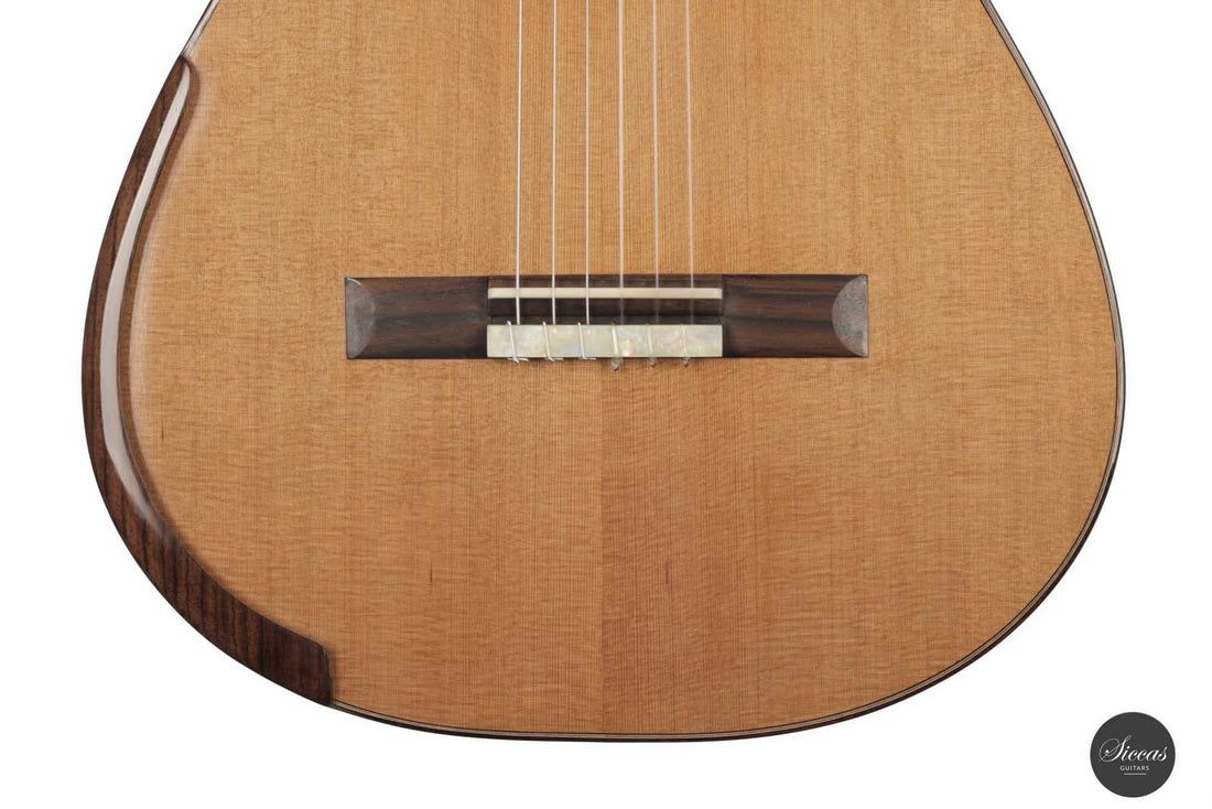 Patrick Mailloux - 2022 Doubletop "Klarisa"