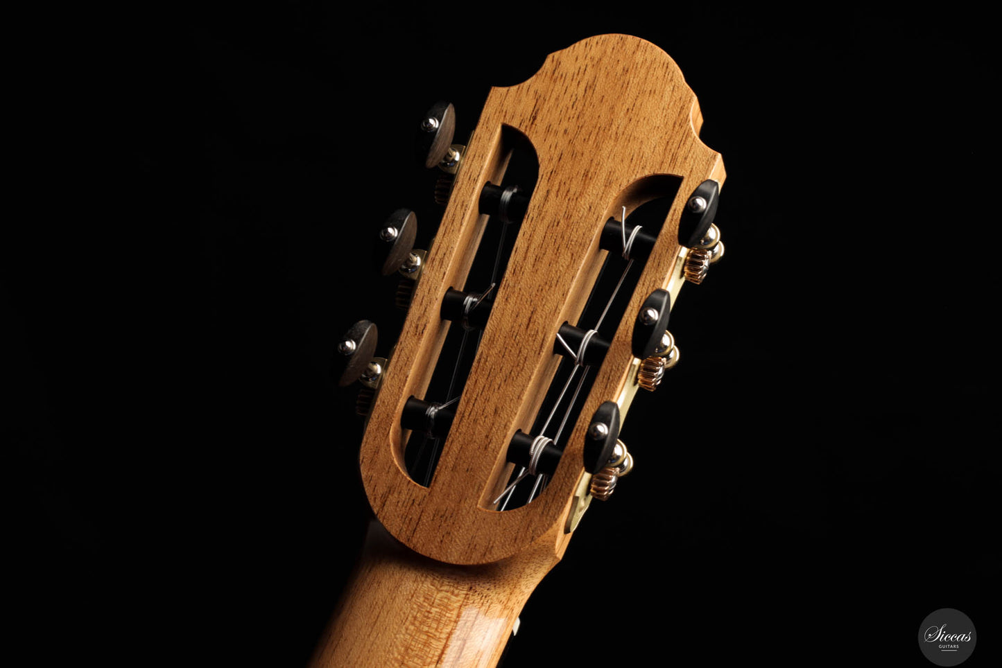 Paul Hildebrandt – 2024 No. 14