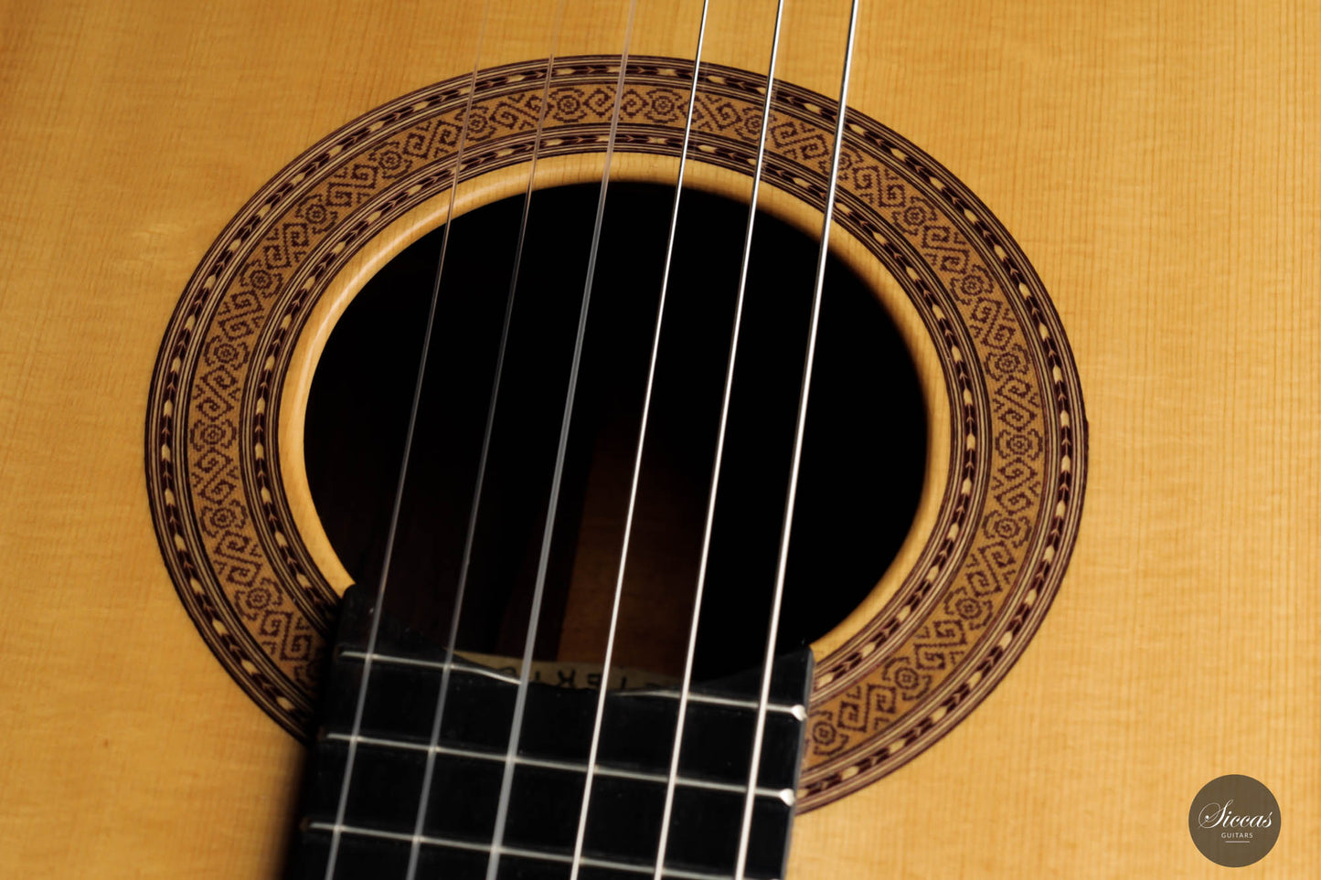 Paulino Bernabé – Concierto 2019