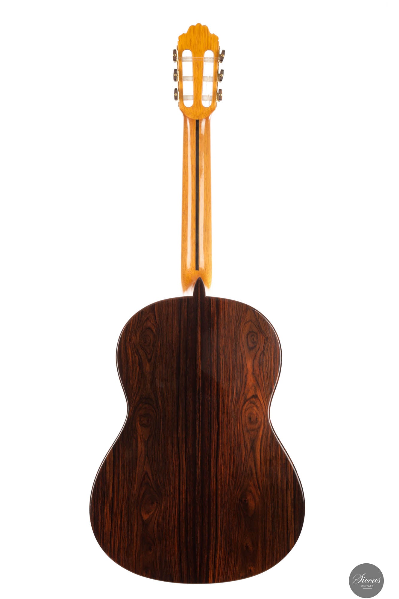 Paulino Bernabé - 2016 Modelo Ideal