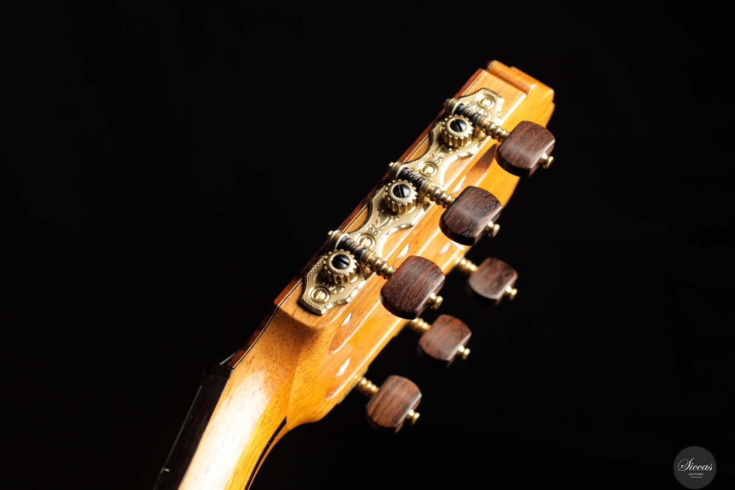 Paulino Bernabé - 2016 Modelo Ideal