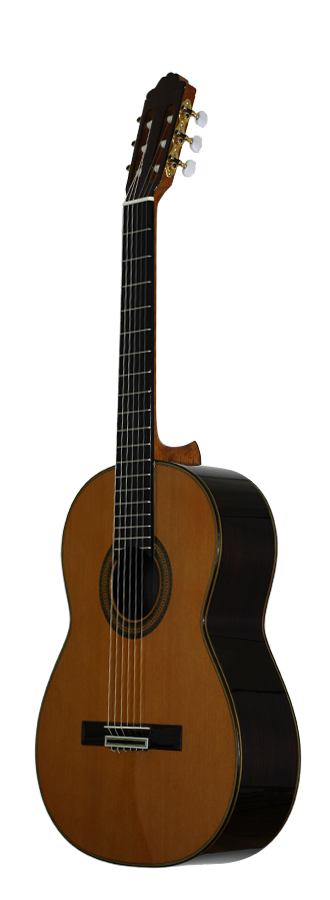 Paulino Bernabé - M5 2014