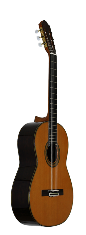 Paulino Bernabé - M5 2014