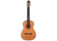 Petr Matoušek – 2010 Doubletop 7-string