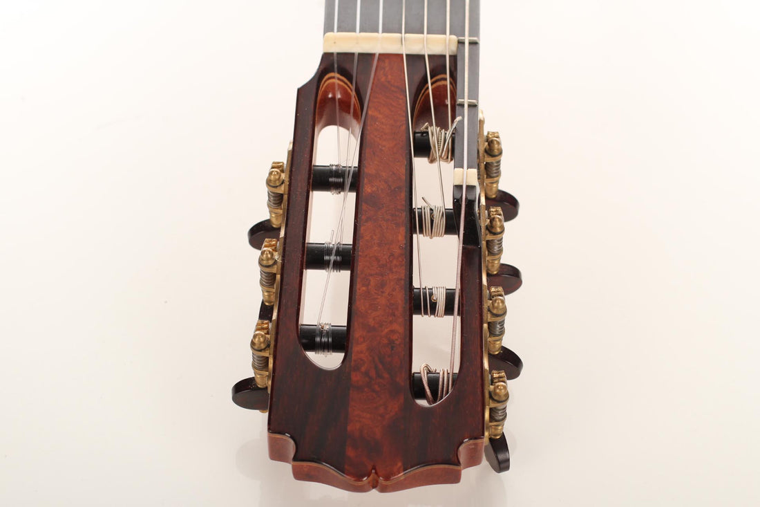Petr Matoušek – 2010 Doubletop 7-string