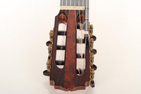 Petr Matoušek – 2010 Doubletop 7-string