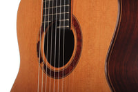 Petr Matoušek – 2010 Doubletop 7-string