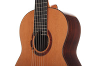 Petr Matoušek – 2010 Doubletop 7-string