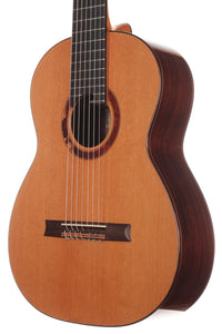 Petr Matoušek – 2010 Doubletop 7-string