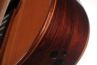 Petr Matoušek – 2010 Doubletop 7-string