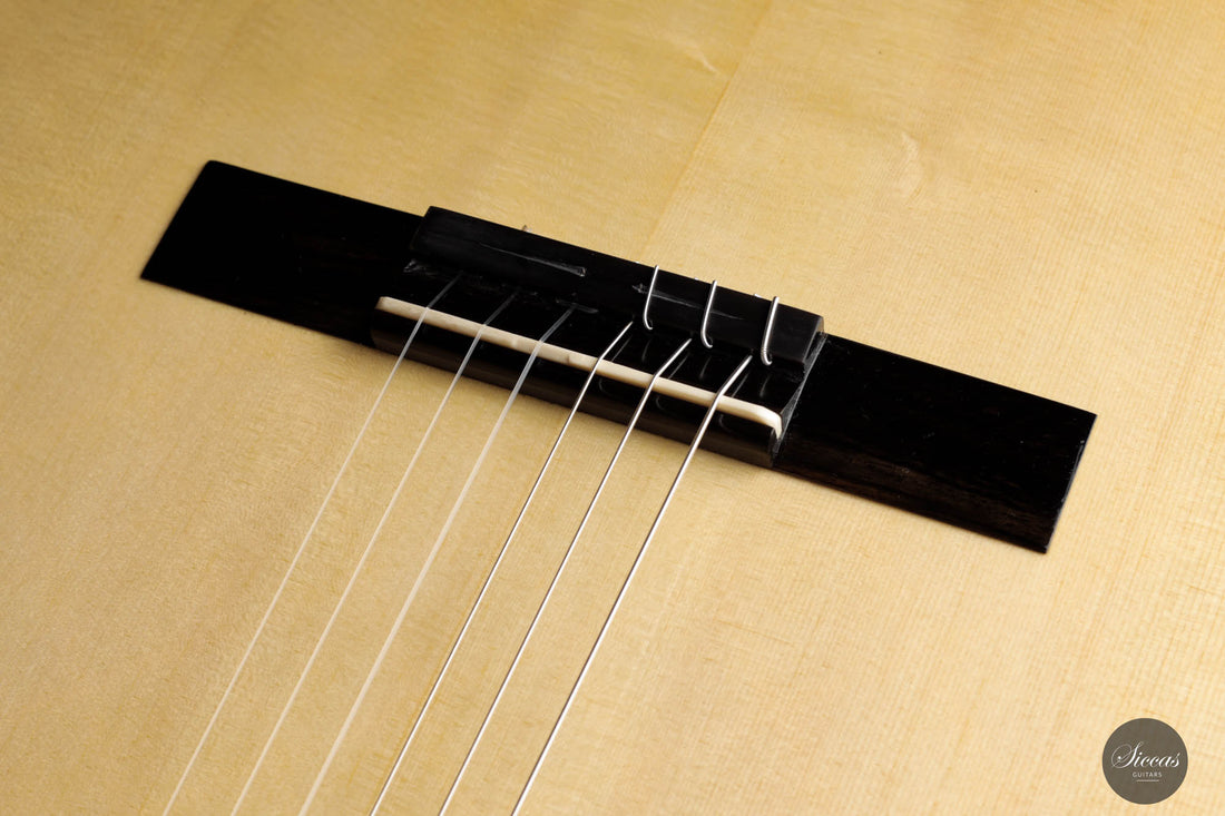 Philip Woodfield - 2018 "Desiree" No. 398