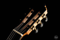 Philip Woodfield - 2018 "Desiree" No. 398