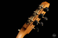 Philip Woodfield - 2018 "Desiree" No. 398