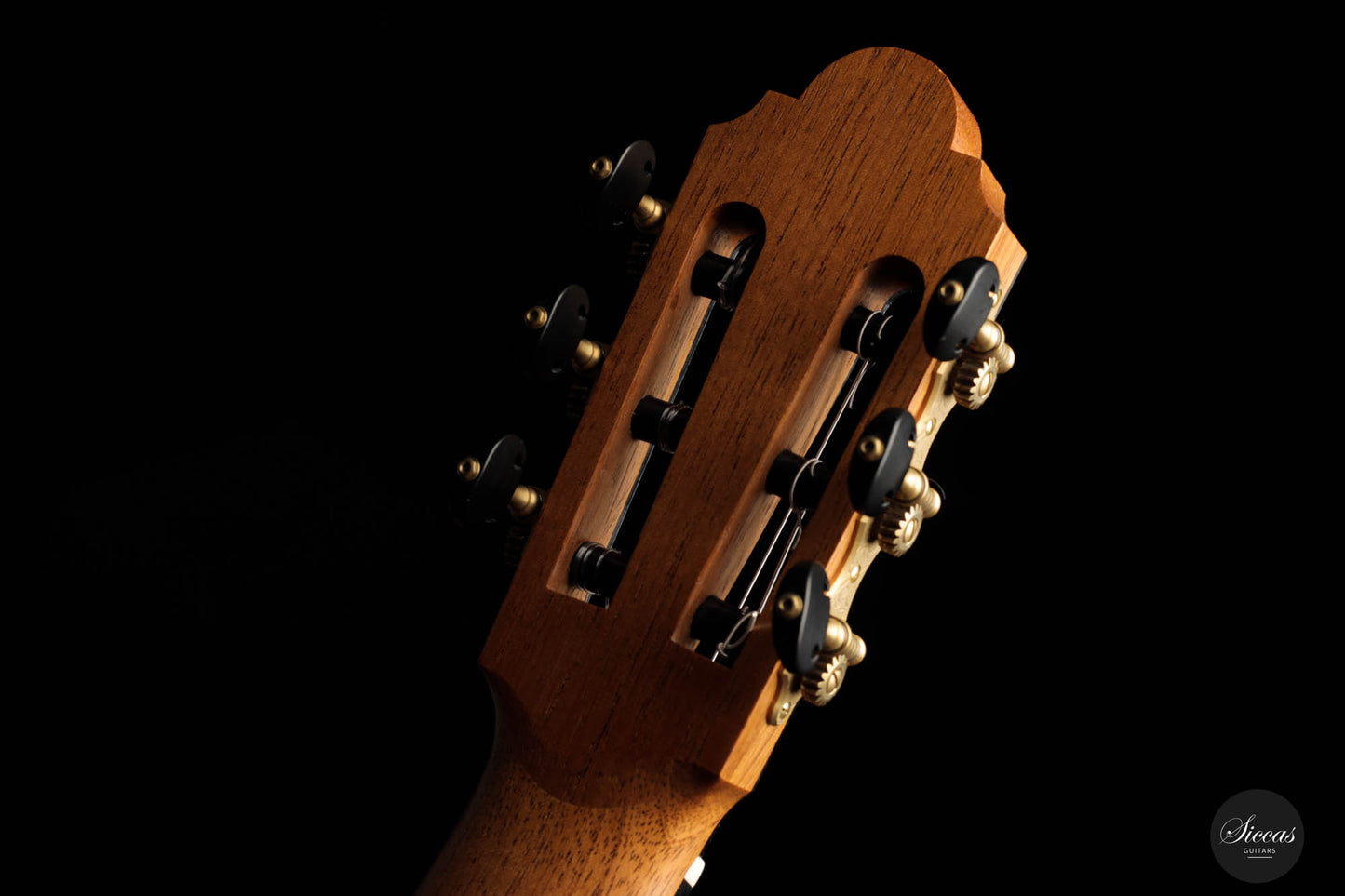 Philip Woodfield - 2018 "Desiree" No. 398