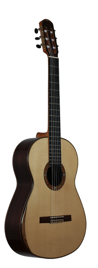 Philipp Neumann - Siccas Guitars Edition 2014 img-2