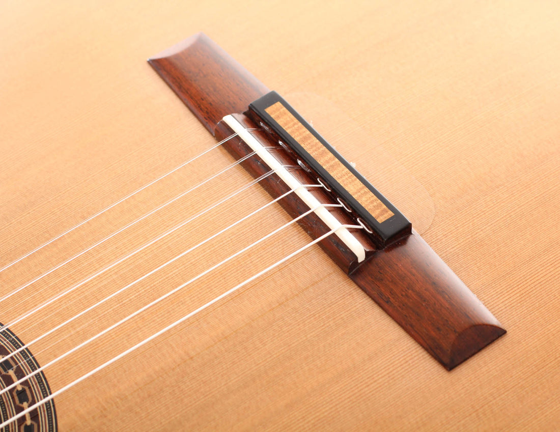 Rafael Moreno - 2016