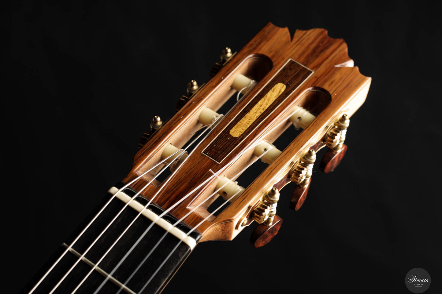 Ramin Fallah – 2024 C-Stage No. 449