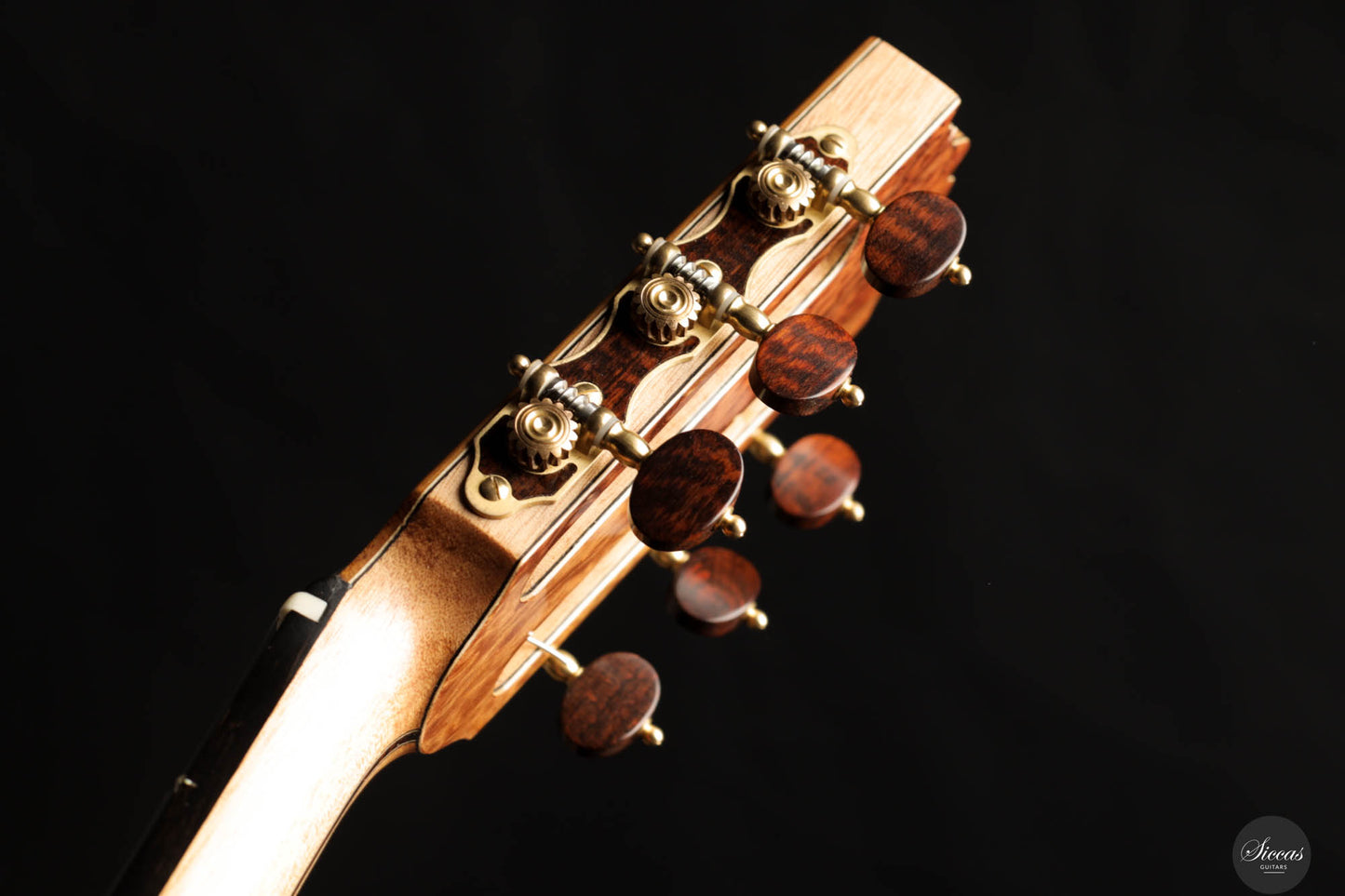 Ramin Fallah – 2024 C-Stage No. 449