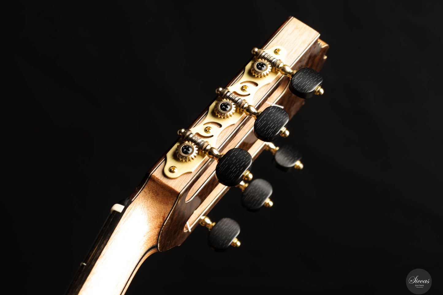 Ramin Fallah – 2024 C-Stage Thermo Spruce/Wenge No. 448