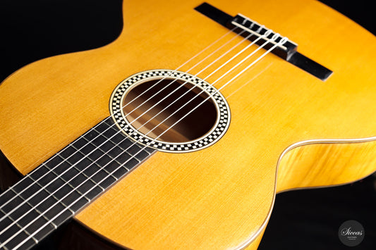 Richard Jacob Weissgerber – 1924 Großes Wiener Konzert-Modell img-2